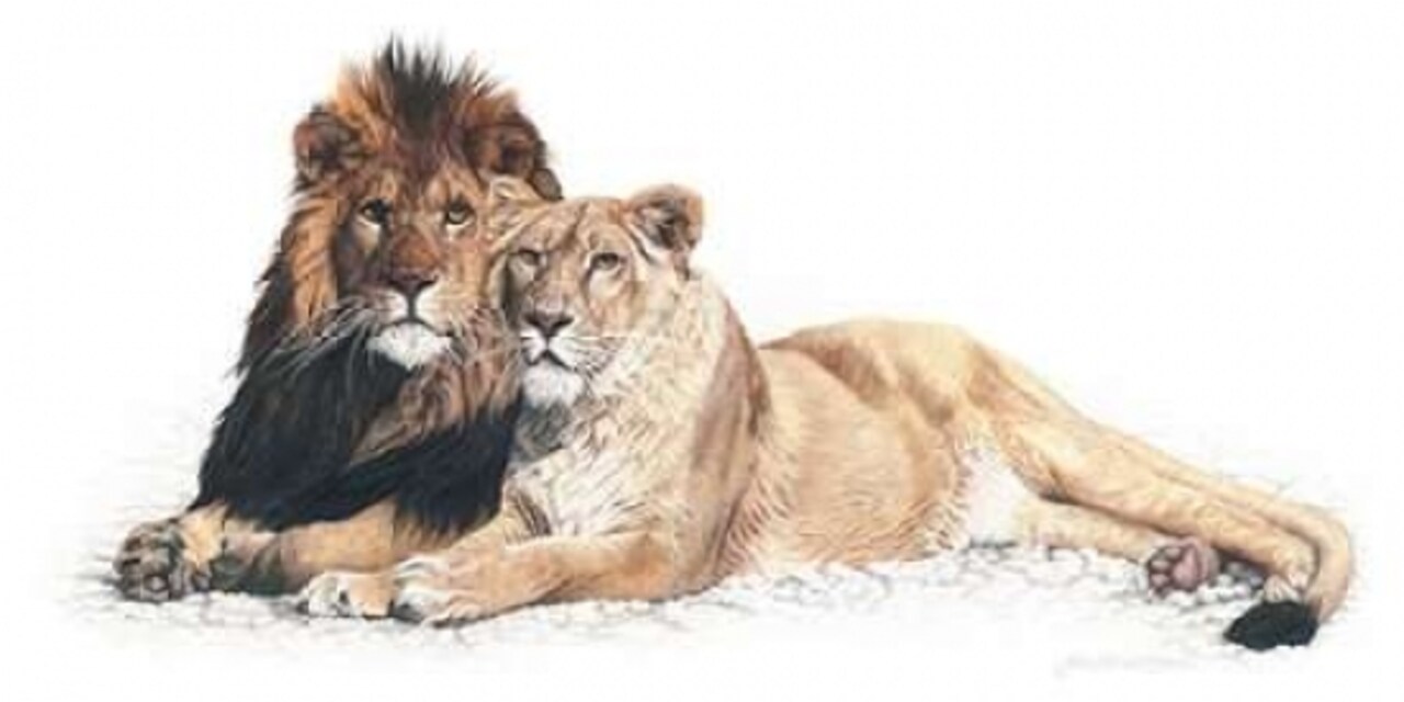 Soul Mates Poster Print by Jan Henderson - Item # VARPDXH523D